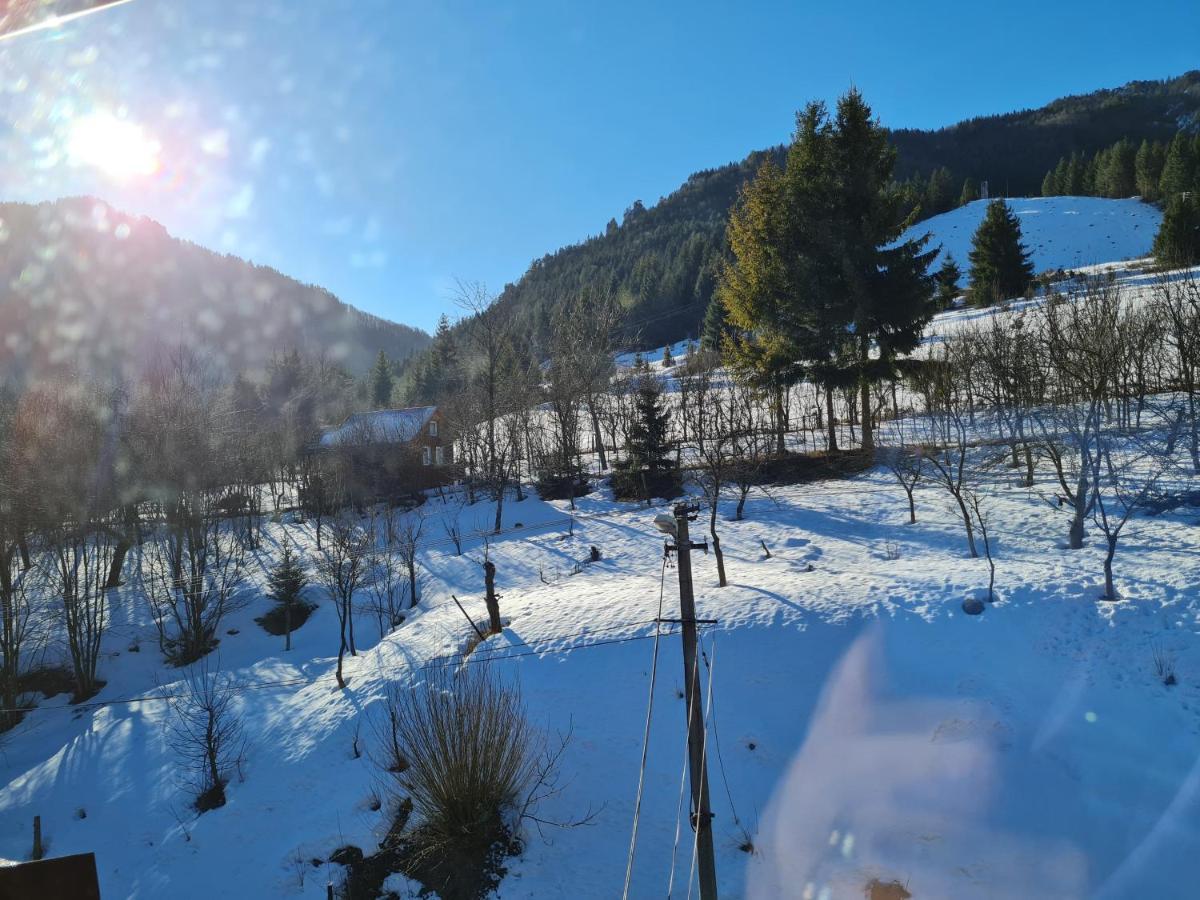 ז'ילינה Penzion Mala Fatra U Durka מראה חיצוני תמונה